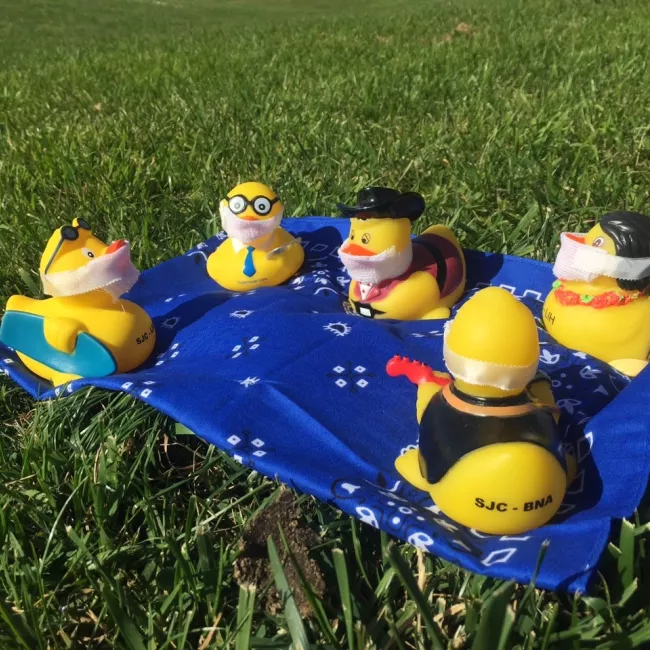 Seymour and his friends enjoy a picnic